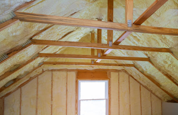 Best Insulation Installation Services in Hebbronville, TX