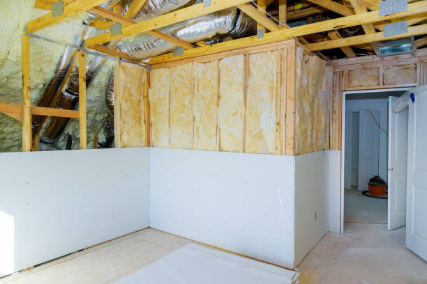 Sustainability and Green Building