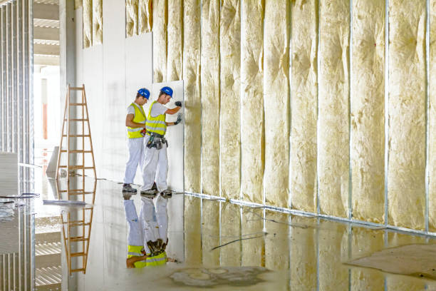 Best Insulation Maintenance and Repair in Hebbronville, TX